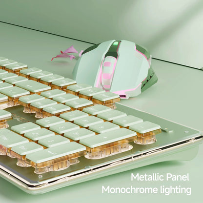 EWEADN Wireless Gaming Keyboard and Mouse Set, 104 Silent Keys, Backlit, All-Metal Panel, Ergonomic, Quiet Typing